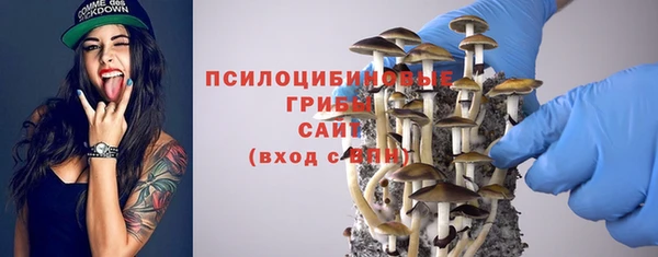 а пвп мука Богородицк