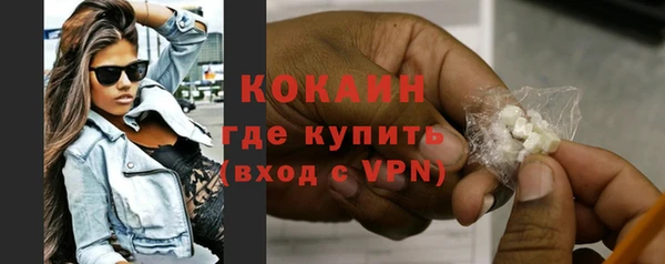 МДПВ Снежногорск