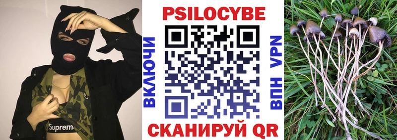 Псилоцибиновые грибы мицелий  omg ТОР  Западная Двина 